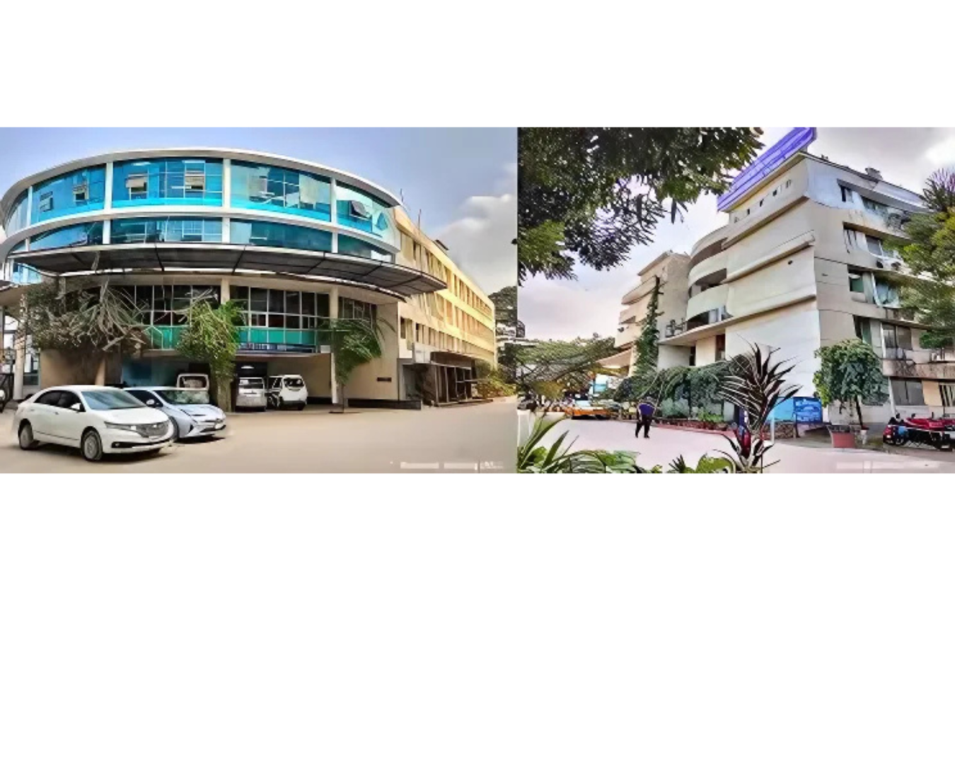 International Medical College